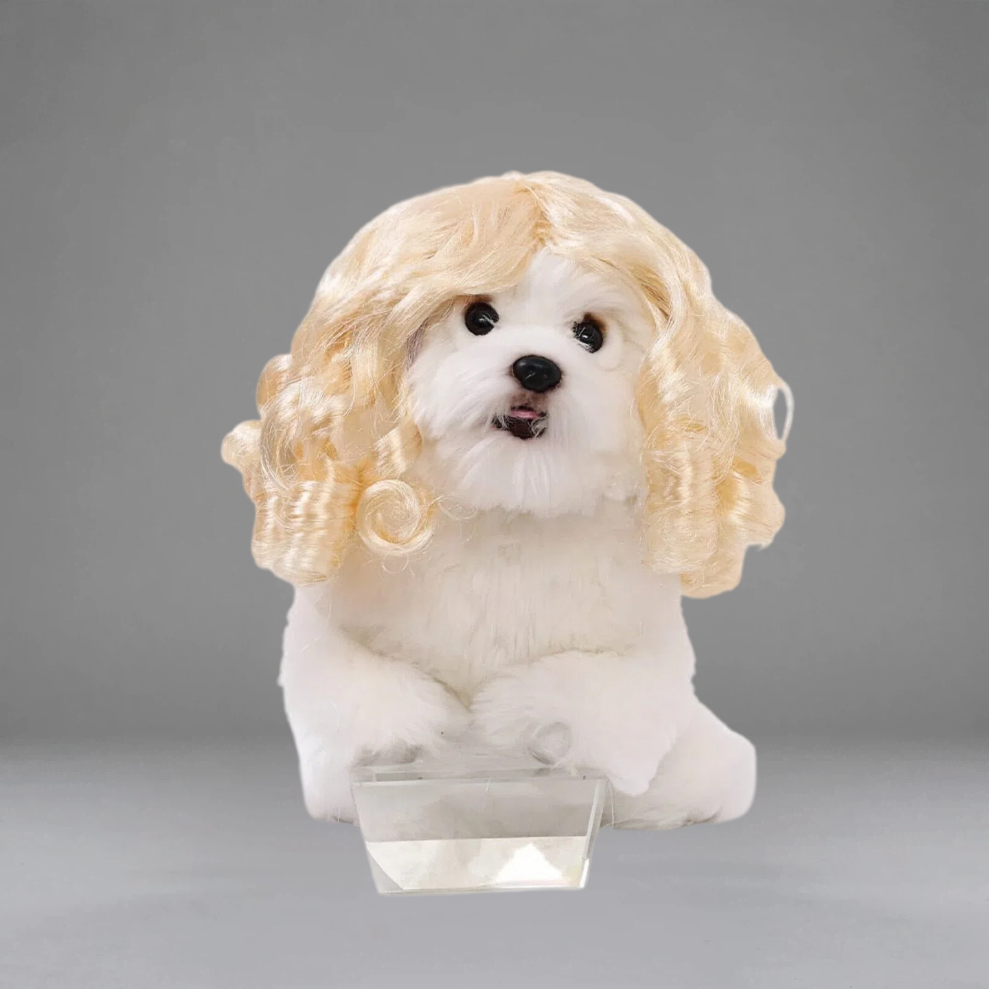 Funny Judge Pet Wig for Dogs & Cats – Curly Costume Hairpiece for Cute Photos & Dress-Up