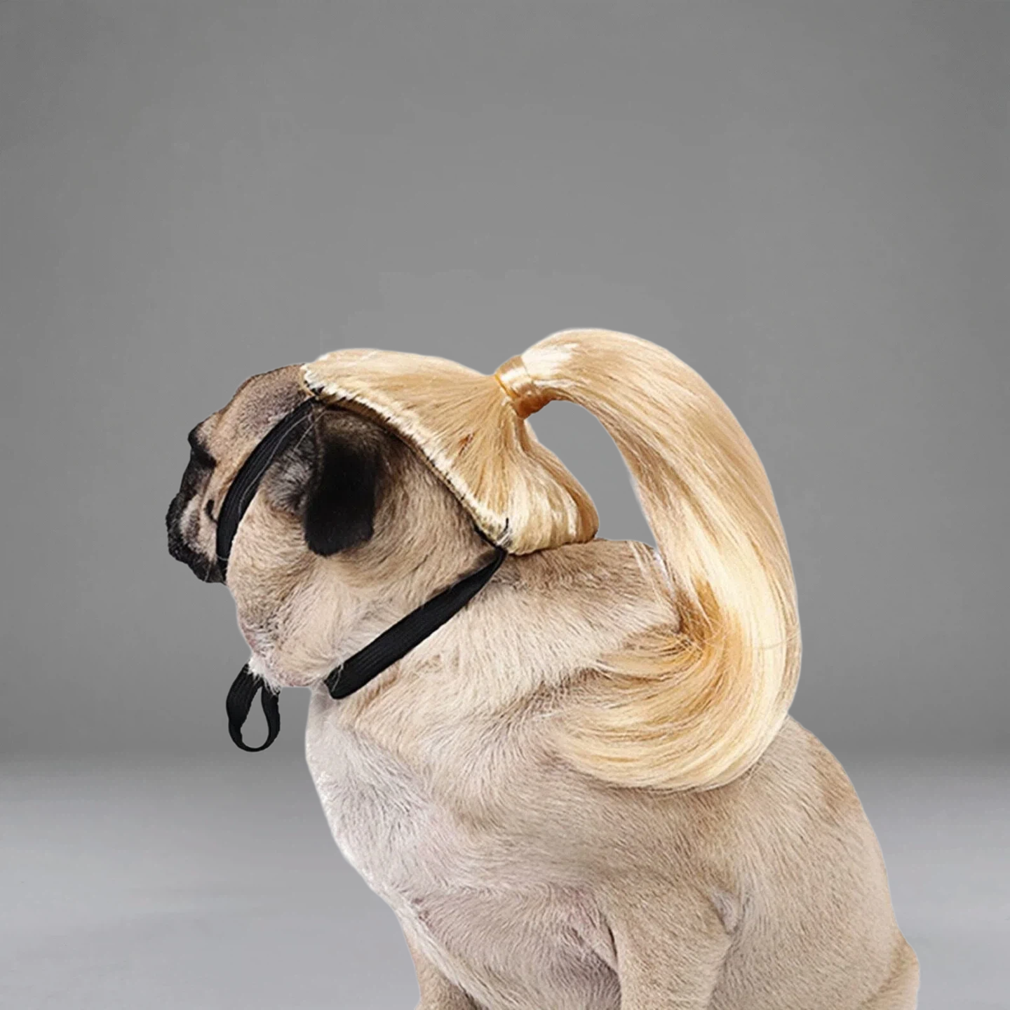 Light Blonde Ponytail Pet Wig for Dogs & Cats – Funny Costume Hairpiece for Cute Photos & Dress-Up