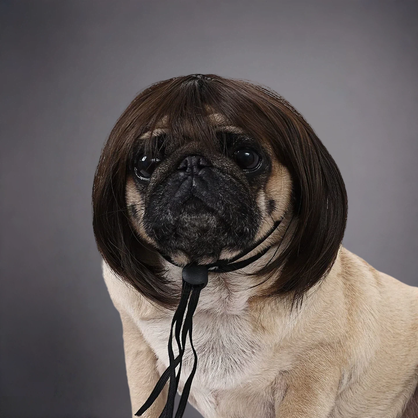 Pet Bob Wig for Dogs & Cats – Funny Short Hair Costume Hairpiece for Cute Photos & Dress-Up
