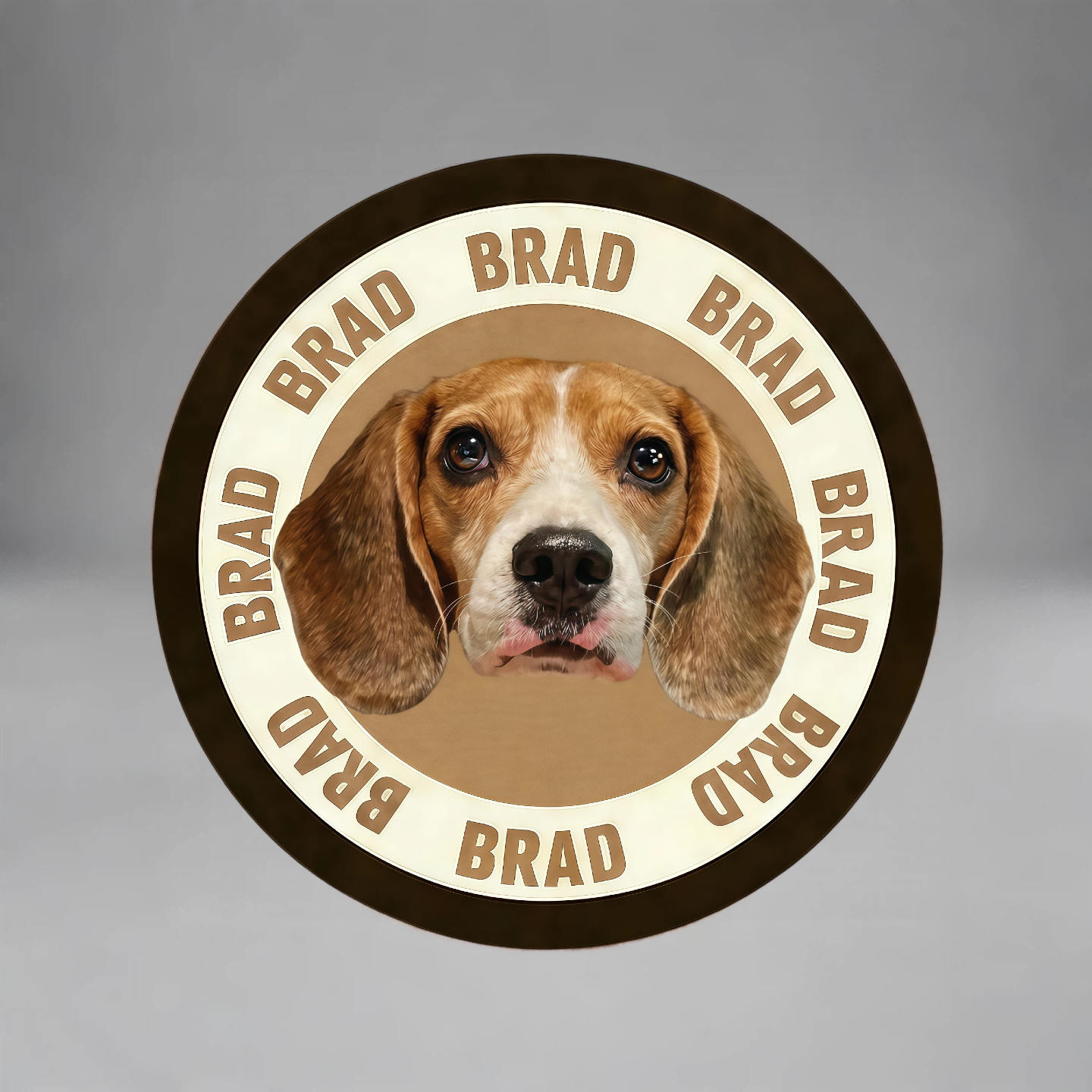 Portrait Pet Rug | PET ARTIST